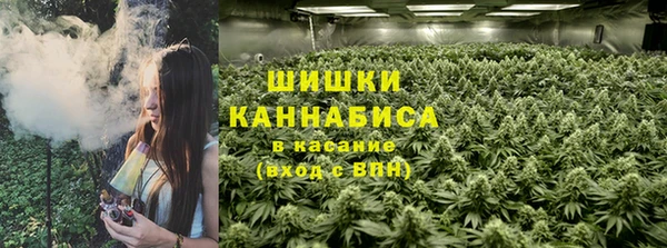 ешки Белокуриха