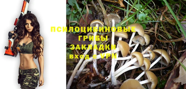 ПСИЛОЦИБИНОВЫЕ ГРИБЫ Слюдянка