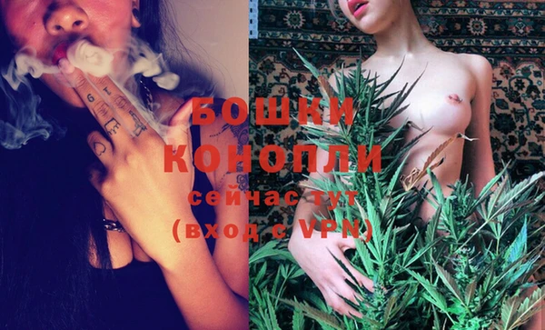 прущие грибы Баксан