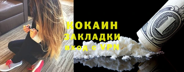 прущие грибы Баксан